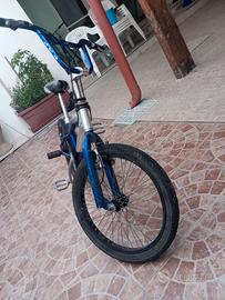 Bmx bicicletta