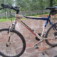 Mountain bike Montana 26"