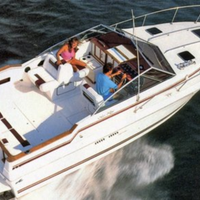 Sea Ray 270 amberjack