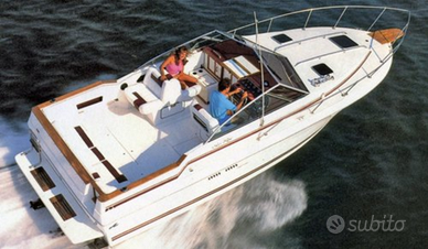 Sea Ray 270 amberjack