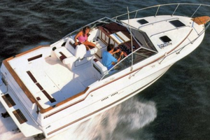 Sea Ray 270 amberjack