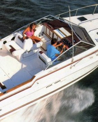 Sea Ray 27 piedi modello 270 Amberjack