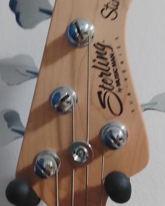 basso elettrico Sterling music man