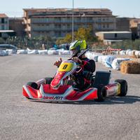 Birel Art s11