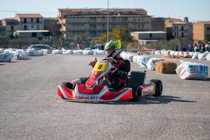 Birel Art s11