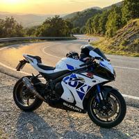 Suzuki gsx-r1000r 2020