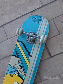Tavola da SKATE 