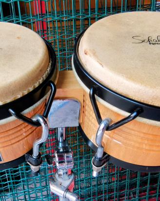 Coppia bongo