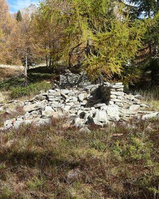 Rustico/Casale/Corte Varzo [BorCiusaA0626VRG]