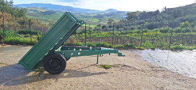 Carrello goldoni ribaltabile