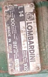 Motore Lombardini perfettamente funzionante