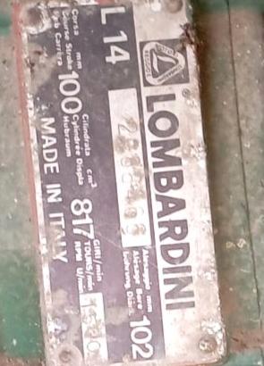 Motore Lombardini perfettamente funzionante