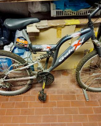 Bicicletta Galaxy