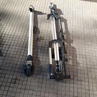 Portabici da tetto Thule