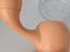 Immagine 5