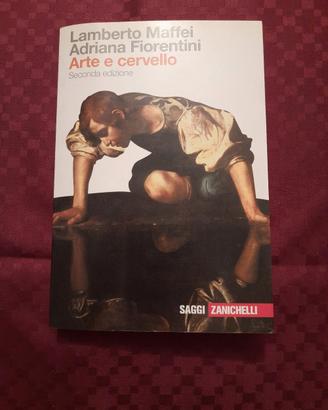 Arte e cervello saggi Zanichelli