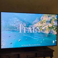 Samsung NEO QLED 55" uhd 4k Piccola linea Display 