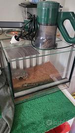 terrario 41x30x30