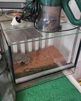 terrario 41x30x30