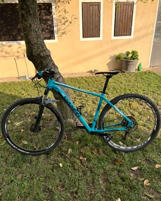 Mtb lee cougan 29