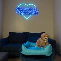 Cucciolo maltipoo toy mini particolor