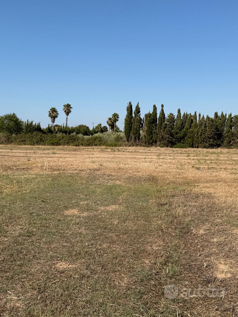 Rustico in zona Ungias - Altro