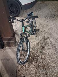 bicicletta bambino 