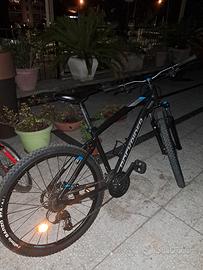 ROCKRIDER st520