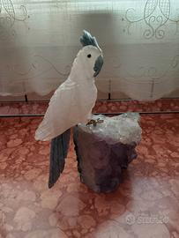 Pappagallo pietra naturale 