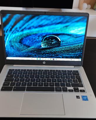 Chromebook Hp