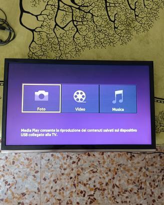 TV senza decoder 19 pollici + Cromecast
