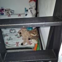 letto a  soppalco 