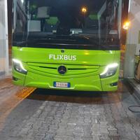 Autista di bus driver