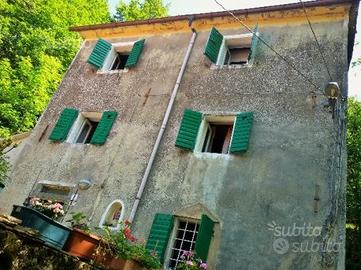 Villetta Indipendente-Foresta incantata