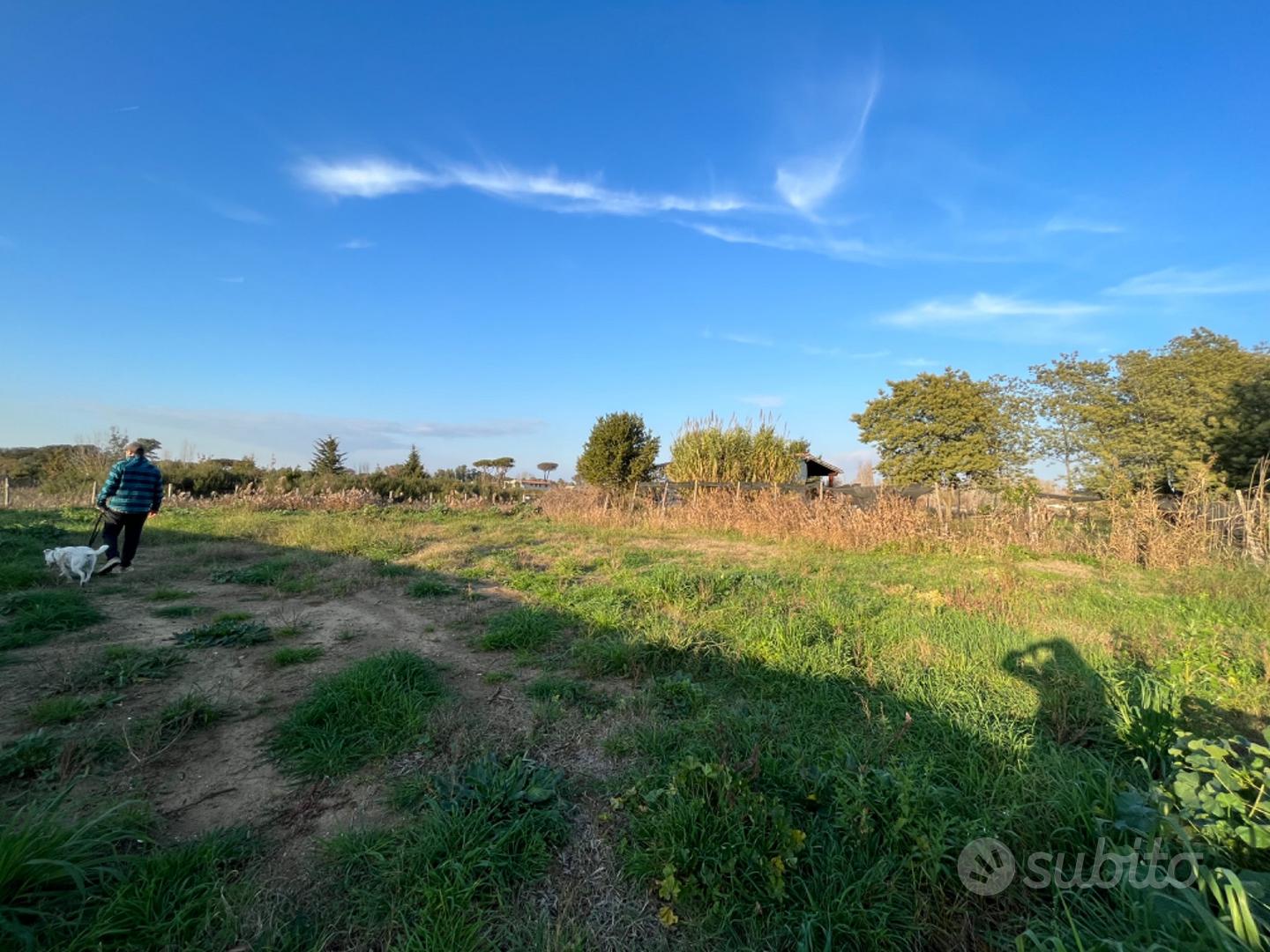 Terreno agricolo. Via Isillo 40, 00124 roma - Ansicht 4