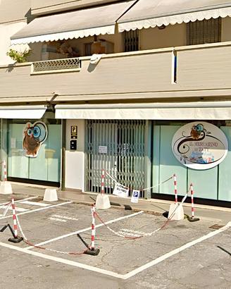 Viareggio fondo commerciale