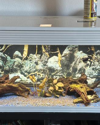 Acquario Askoll Pureled