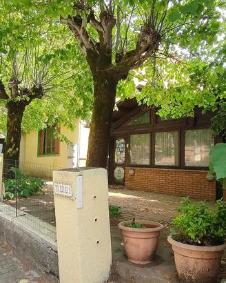 Stabile/Palazzo Lizzano in Belvedere [GV89LBVRG]