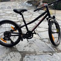 Specialized hot rock 20”