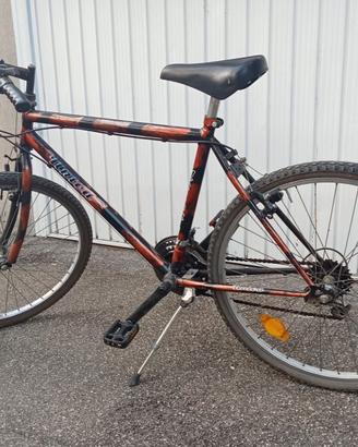 Mountain bike