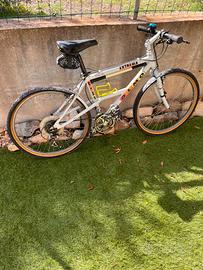 Bicicletta olmo 26”