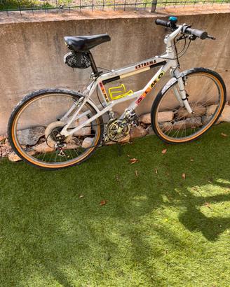 Bicicletta olmo 26”