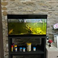 Acquario Askoll pure 140 litri con i pesci