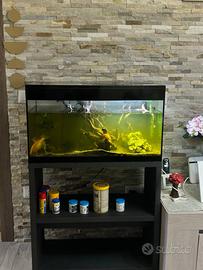 Acquario Askoll pure 140 litri con i pesci