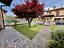 Immagine 13