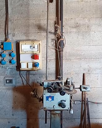 Affilatrice per sega a nastro