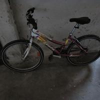 mountain-bike 