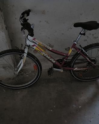 mountain-bike 