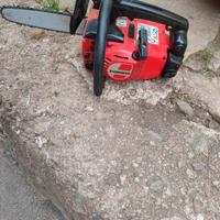 motosega da potatura 