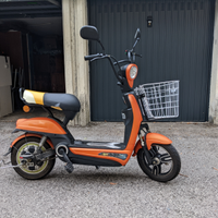 Scooter/ bicicletta elettrica